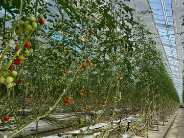 藤原京菜園(株式会社鞄工房山本)-6