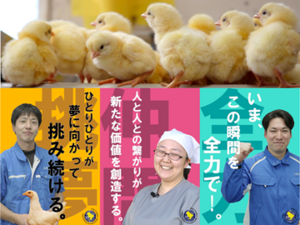 石井養鶏農業協同組合-top