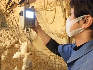 石井養鶏農業協同組合-4