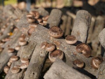 株式会社TANBAN-top