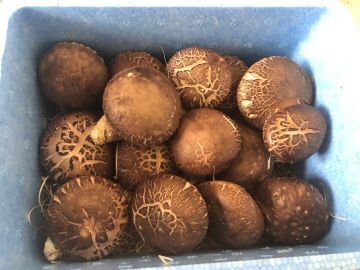 株式会社TANBAN-4