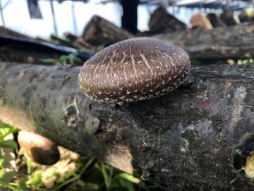 株式会社TANBAN-5