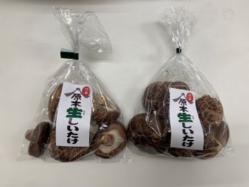 株式会社TANBAN-6