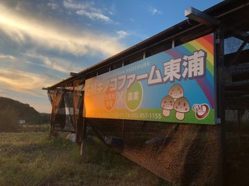 株式会社TANBAN-7