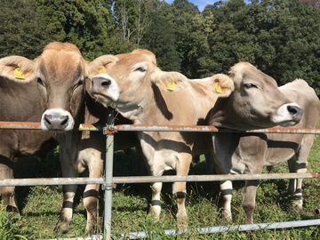 農事組合法人 日登牧場-1