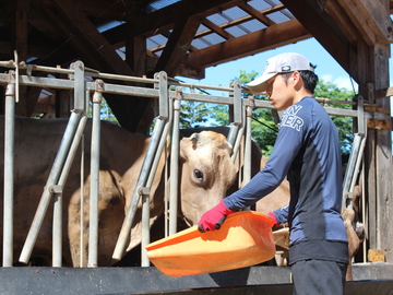 農事組合法人 日登牧場-3