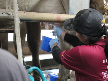 農事組合法人 日登牧場-5