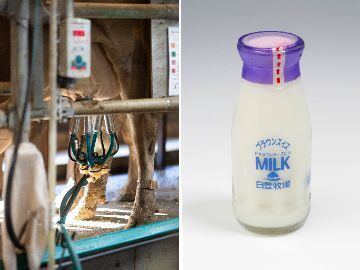 農事組合法人 日登牧場-6