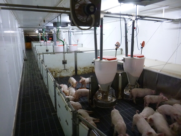 株式会社丹沢農場/旧海老名畜産株式会社-5