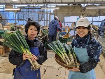 後藤農園(磐田市)-5