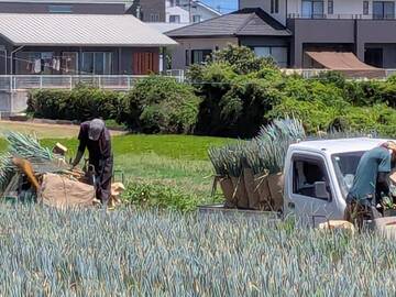 後藤農園(磐田市)-7