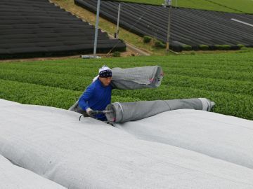 Cha 茶 Manor株式会社-2