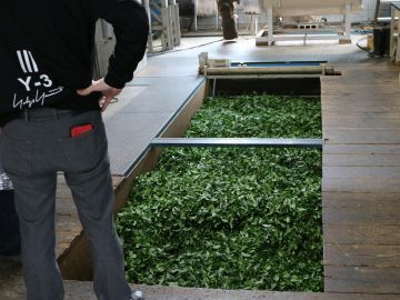 Cha 茶 Manor株式会社-3