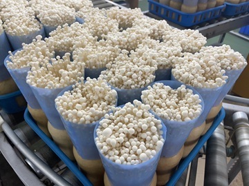 有限会社フジカ-1