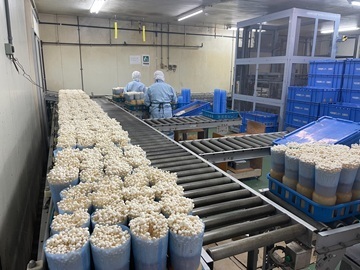 有限会社フジカ-3