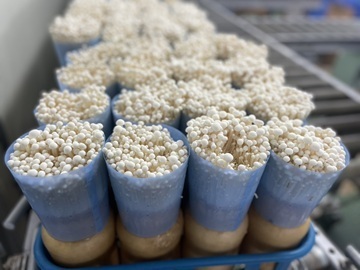 有限会社フジカ-5