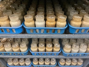 有限会社フジカ-6