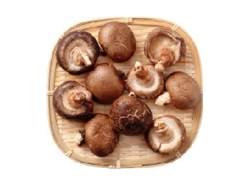 株式会社TANBAN-8