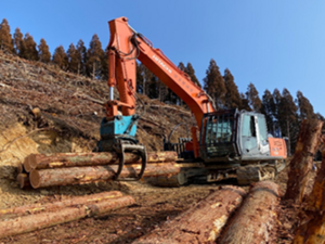 有限会社多賀林業-top