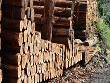 有限会社多賀林業-5