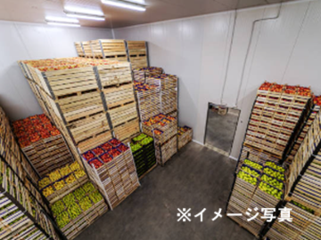 東京新宿ベジフル株式会社【東京都:仕分け管理】-top