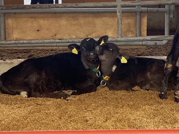 株式会社風の牧場-4