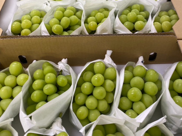 株式会社GRAPE BASE-5