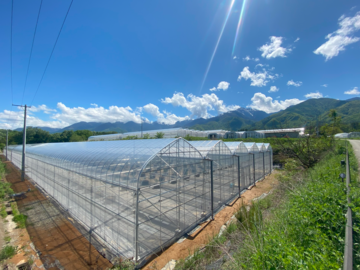 株式会社GRAPE BASE-6