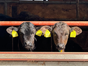 株式会社風の牧場-top