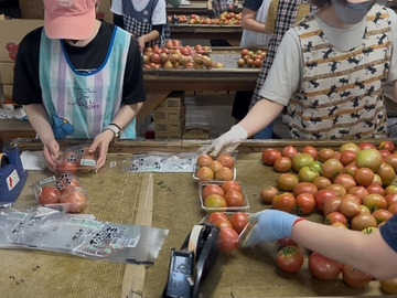 農事組合法人 九州青果物出荷組合-2