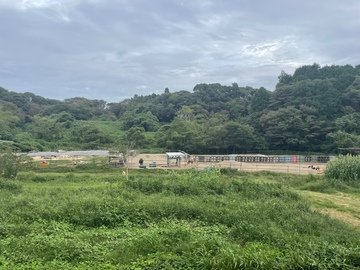 Lake Hill Farm 佐藤牧場-4