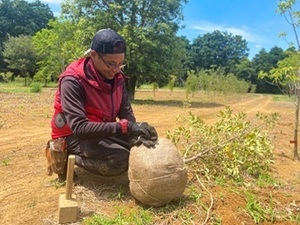 八進緑産株式会社-top