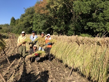 合同会社翔栄ファーム-1