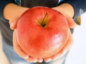 北海道余市町×配送/法人【42562】-top