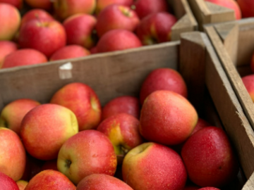 北海道余市町×配送/法人【42562】-2