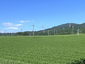 Cha 茶 Manor株式会社-5