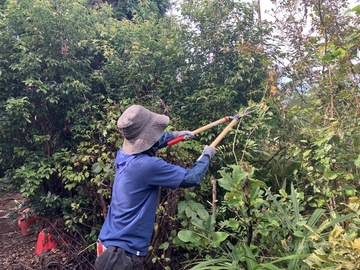 いしいぷらんと-3