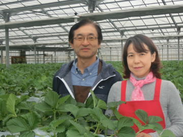 苺のマルシェ(所沢北田農園)-top