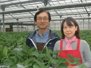 苺のマルシェ(所沢北田農園)-top