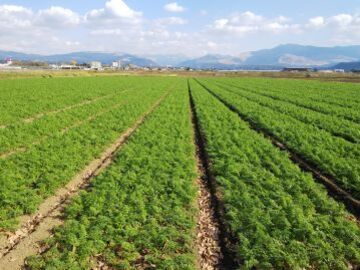 株式会社サカタファーム九州-1