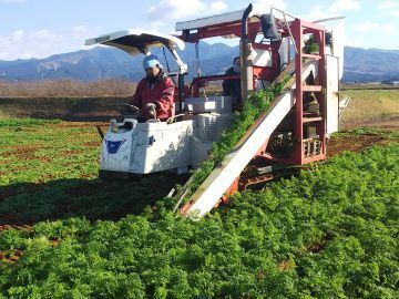 株式会社サカタファーム九州-2