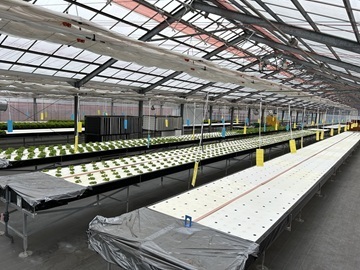 株式会社フォーカスシステムズ-2