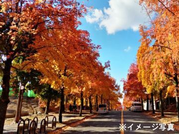 いしいぷらんと-6