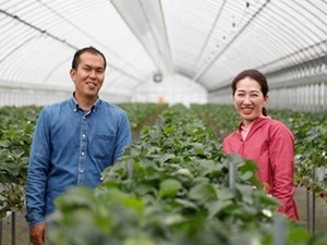 株式会社UEDA(上田農園)-top