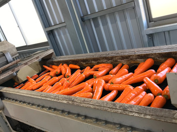 前田農園(熊本県)【短期アルバイト】-1