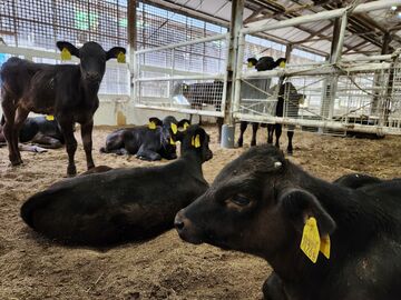 株式会社小野ファーム-8