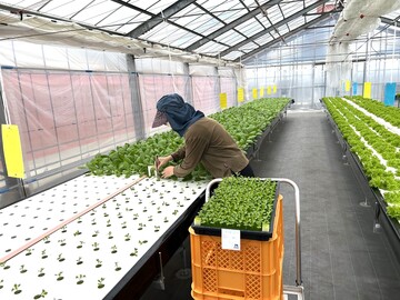 株式会社フォーカスシステムズ-1