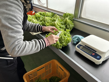 株式会社フォーカスシステムズ-3