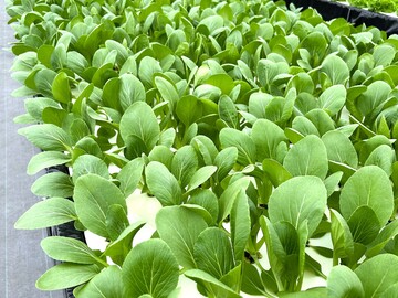 株式会社フォーカスシステムズ-5