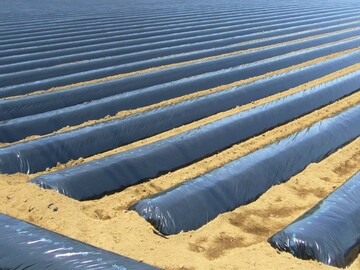 山形県×営業/法人【42575】-1